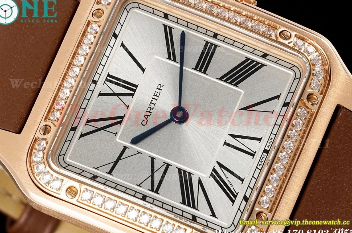 Dumont Dial Silver Brown Santos Quartz LE RG AF Dia 0313